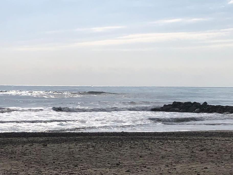 Situation Ideale F2, 2 Eme Ligne,Climatise, Plage Palavas-les-Flots Dış mekan fotoğraf